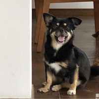 ��¼����ҵļ��˳�����