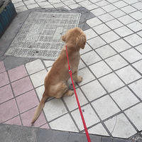 ��������֮�������ı���+���ȳ�������