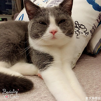 ���Ҽ����ϸ�Ӱ̫������