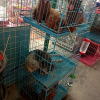 ���ǻ����г�