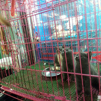 ���ݻ����г�