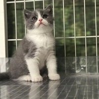 ��¼һ���Ҽ������ǵı仯+���ȳ�������