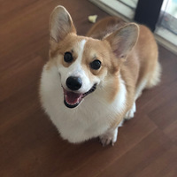 1��3���µ��Ʊ��������˽�һ��