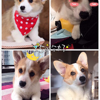 ���������ľ�������Ů��֮�á��ȳ�������