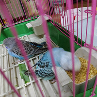 ������·���������