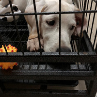 ���а�����