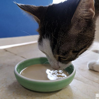 ʲô��С�ʣ�