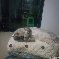 è�ֲ�׬Ǯ����̸��������˯�����ܸ�ʲô