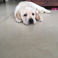 ������Ҿͳ�����