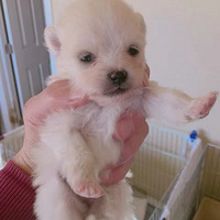 ���ȳ����������ӹ�������ռ�