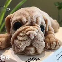 ���ӿ����ҳ��˸�ɳƤ�����⣬���ſ���......