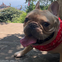 ����ʺ�ֵ�����΢Ц��ʺ���ɱ�+���ȳ���������ʱ����