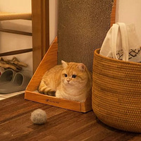 ����һ��ѧè�У�һ������������