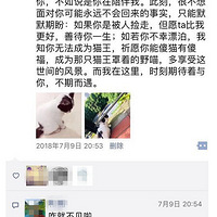 �����������Ի�������ġ����ӡ�����Ҫ��