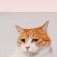 鲻õʱһҪ˵ ҿɲñ˰ο