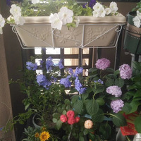 һ�δ���ҵı仯