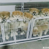 ����Ȯ�����̫������