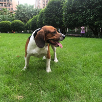 ����ȸ�Ȯ�����˻��ļ�ͥ����