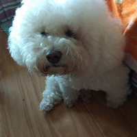 ��ǰɵɵ������ЦЦ+���ȳ�������