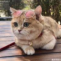 ����һ���Ŀ����ƿ������ɻ�����