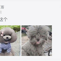 ���̴�һ����֮�󡭡�