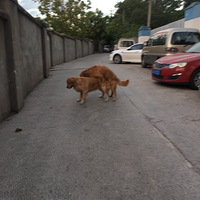 ���ճ���