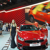 ÿ���������ж�Ӧ����һƥ��Ұ����