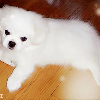 �����湷��ҧ����һ�ڣ���Ϊ��ת�������ҵ�����