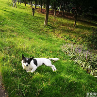 ���˹������Ĺ���