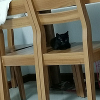 è����������ô��