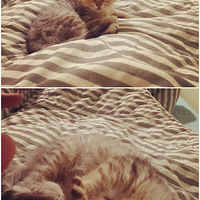 Little Lucky��little lucky��