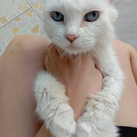 ���۳�ë�ף����ã�����������ѧι��de��~��