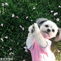 �Ϻ�����һ�������Ҳû�ҵõ���ֱ�������˼���Ĺ�����