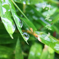 ��Щ������Ļ����ݲ� ���˸���һ��ϲ����