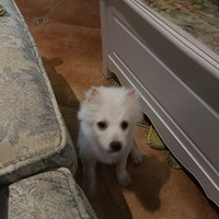 �����ڻ��Ǵ�����