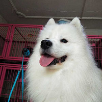 Ѱ����ʧ��������ĦҮ