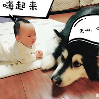 ��ѧι�����޺Ͱ���һ���������٣��ð�������������