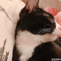 �����ȳ�