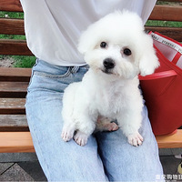 �����������һ���֣����������ȫ��