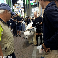 ����ĳ�������ˣ��̵���Щ����Ŀ�ɿڴ��ĳ�����