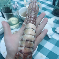 ݼ䡭
