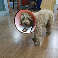 Ѱ̩�Ϲ����ˣ�9��14���������ű���ײ�ˣ����ѱ����͵�ҽԺ��