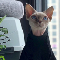 С����-���ľ�ëè