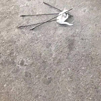 ��һ������������ɱ����è����ֱ̫�����ˣ�