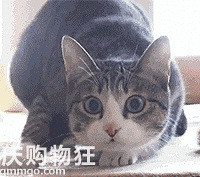 ��ʺ����ע�⣺CFA������èչ������ĩ�����������ǡ�����