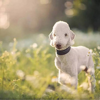 ��������̳�������������ľ��