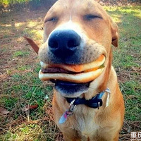 �װ��ģ����Ҹ�������ʲô��