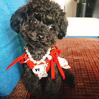 �������������ҡ�������  ���ǲ��Ǹ��������Ǹ�С����