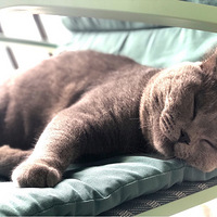 ϲ�����ֻ���¼�����˵��ճ���