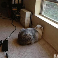 ����Ƿ�����֮�����˼������